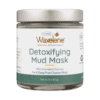 Detoxifying Mud Mask