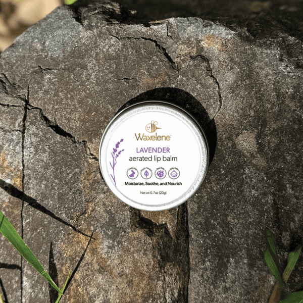 Lavender Aerated Lip Balm Tin - Single