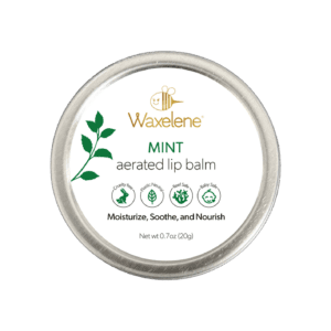 Mint Aerated Lip Balm Tin - Single
