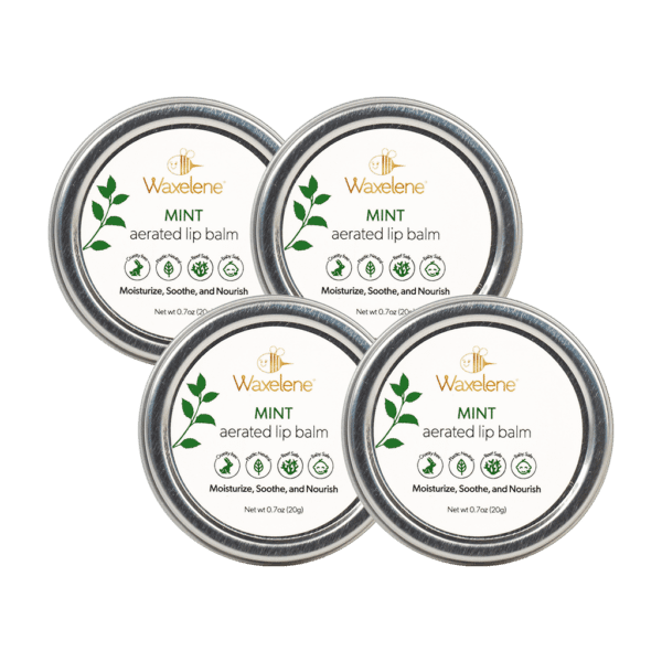 Mint Aerated Lip Balm Tin - 4 Piece