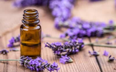 The Calming Power of Lavender: Skin Benefits, Mood Boosts, and More