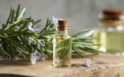 Top Benefits of Rosemary Oil for Skin and Wellness